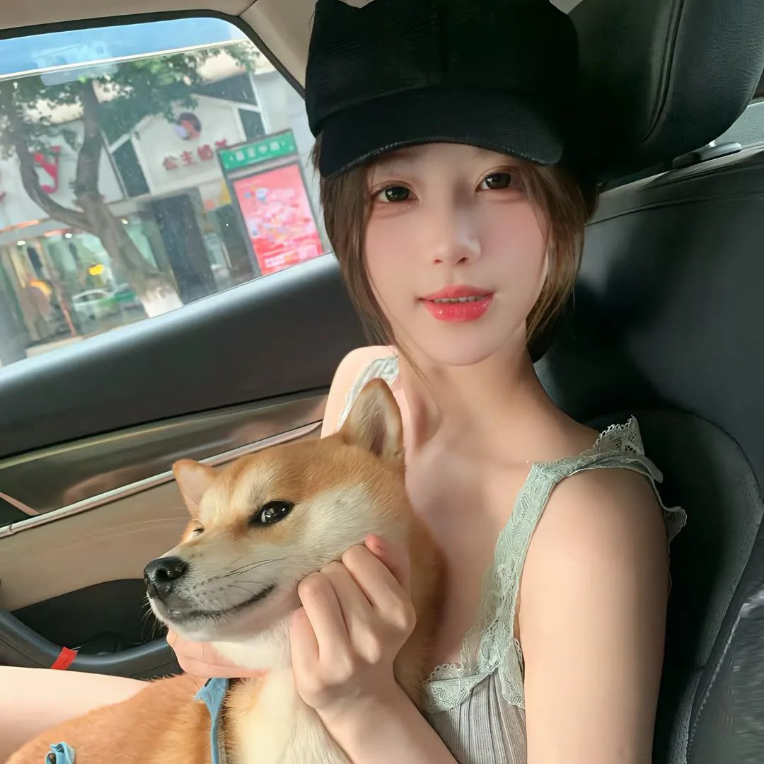 豆豆猫
